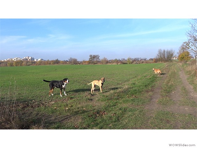 141113-Franzi-Arni-Oskar-01