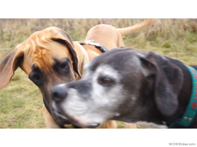 171113-Franzi-und-Lenny-04