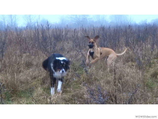 021213-Franzi-und-Amigo-04